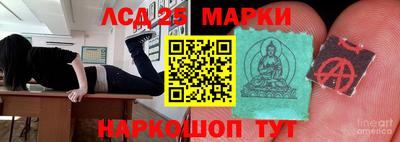 прущие грибы Краснодар