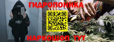 прущие грибы Краснодар